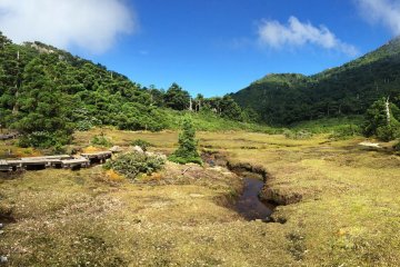 The way includes forest, open areas like this, wooden paths and rock scaling.
