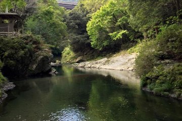 Kiri no Mori