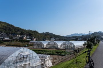 Farmland on Innoshima Island