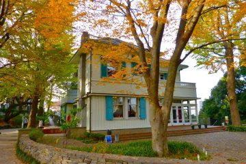 Even in December, outside the house, the red, yellow and orange leaves of autumn still adorn the trees