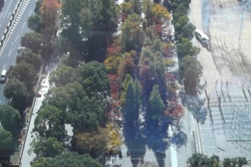 There's a pleasant, leafy park to the south of the tower