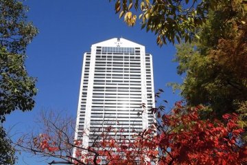 And the park offers a nice view of the tower