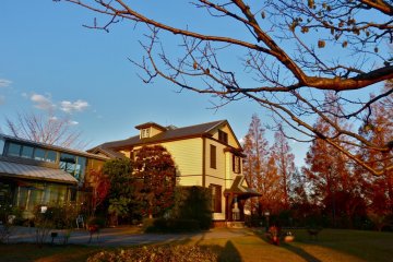 The house from the side