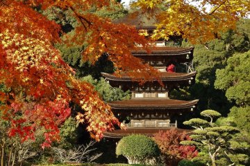 Yamaguchi's Yuda Onsen & Rurikoji
