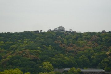 The view from the room