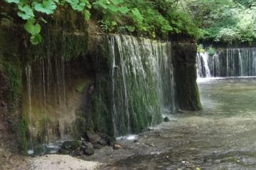 <p>Shiraito Falls</p>