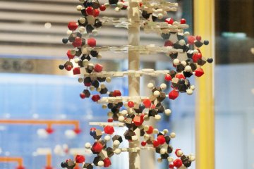 Reconstruction of DNA structure