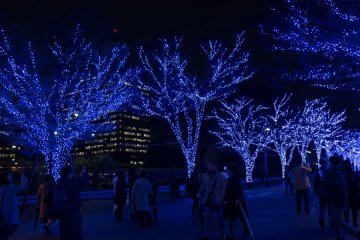 The trees looked like blue veins in the night sky