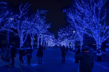 The Blue Cave