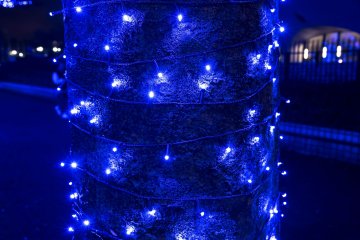 A close up of the beautiful lights