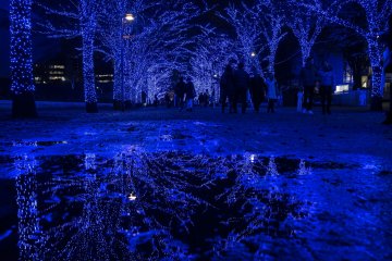 Puddles make great photos
