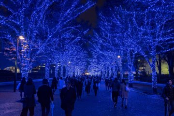 The view on the walk back to Shibuya