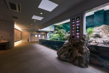 The first exhibit upon entering Kinosaki Marine World