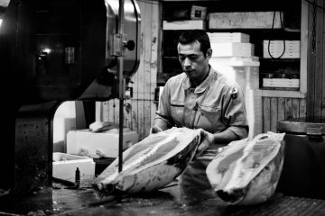 Frozen tuna is cut up like timber