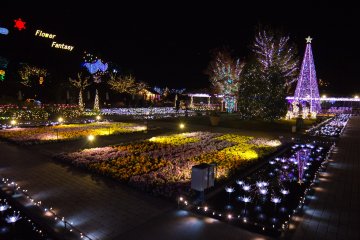 As soon as you enter the park you are greeted with this spectacular view