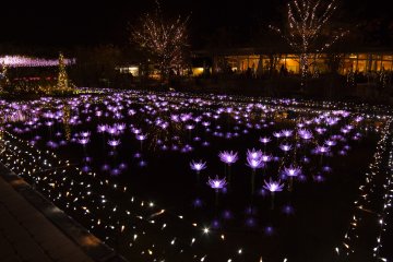 Gardens of light