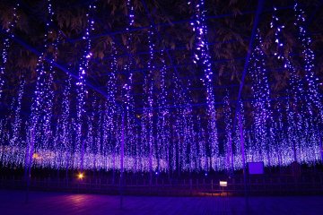 The wisteria lights hung so low making for a truly magical atmosphere and great photos