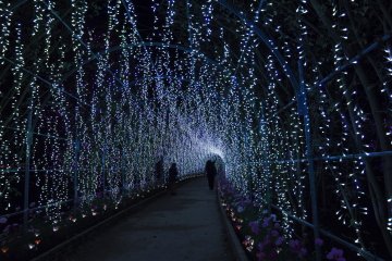 Simply amazing light tunnels