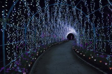 The amazing light tunnels were the most memorable for m
