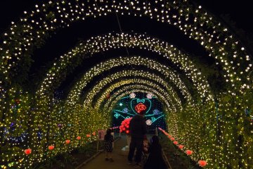 This was an interactive display where you could press a button and the roses would change colors