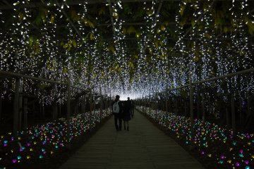 Walking in the light tunnels was like walking in another world