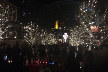 Walk along the lighted path to the chandelier. 