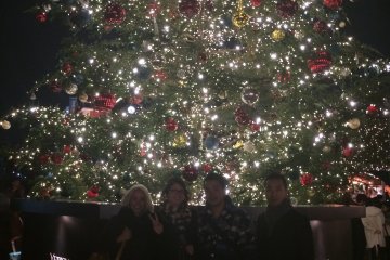 Snap a shot with the tree!