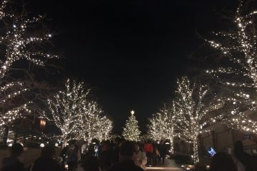 Lovely Xmas town.