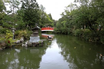 Looking along the pond
