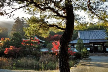 Toshunji Temple is located to the left of the Rurikoji compound.