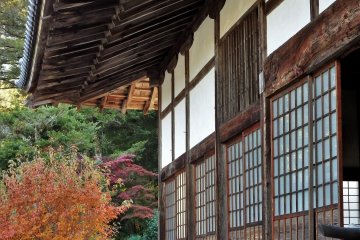 This temple is unusual in that the chief priest is a 9-year-old Kishu Inu (a type of Japanese dog) named Maru.