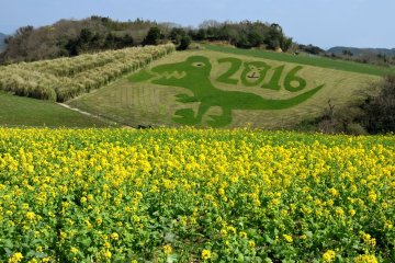Grass art