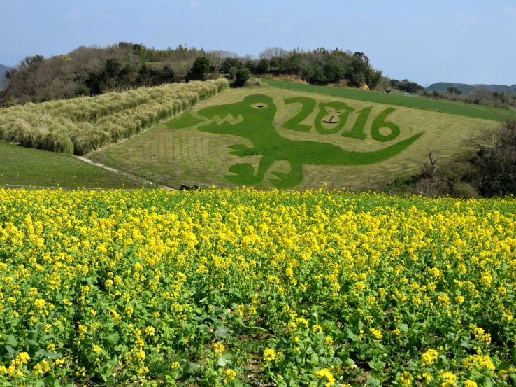 Grass art