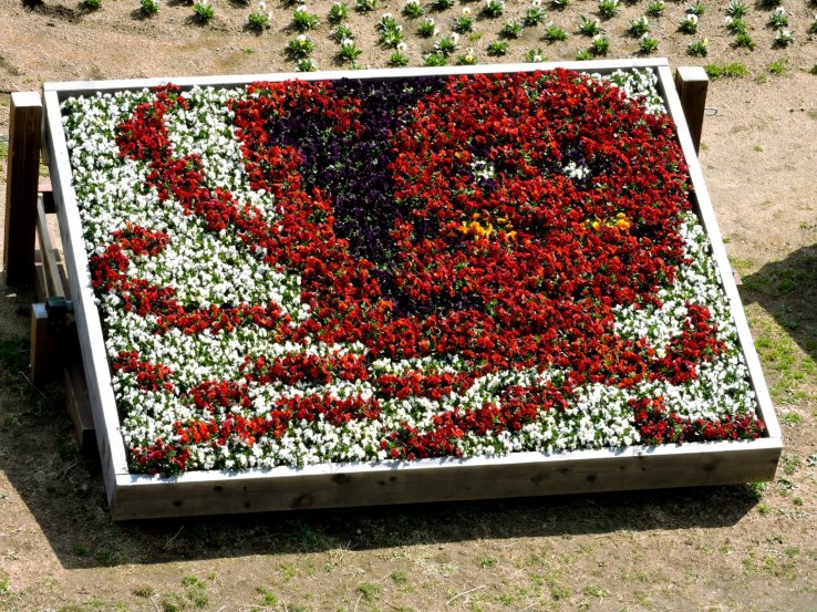 Octopus flower art