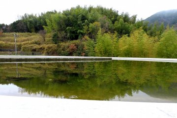 Bambu yang menutupi bukit terpantul ke kolam