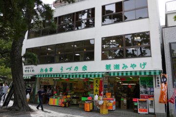 There are souvenir shops and restaurants in Naruto Park at the base of the bridge