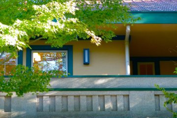 Fresh green leaves over the second floor