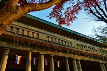 Autumn leaves at Yamate 234