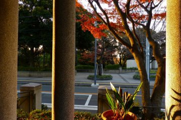 The view of Motomachi Koen Park from Yamate 234