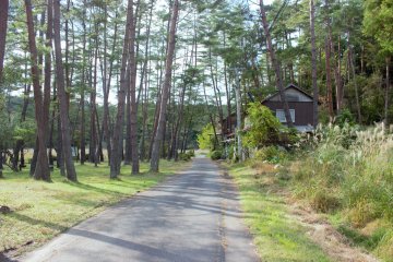 The road from the parking lot to the trailhead