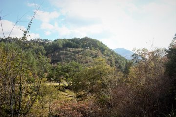 Two paths lead up a hill to the lookout tower