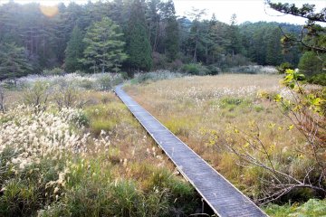 The boardwalks are wide, well maintained, and make navigating the park very easy