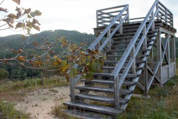 If you feel like walking up a big hill, you can be rewarded with a great view from this lookout tower
