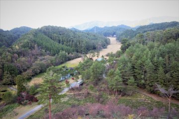 Kurozo Marshlands from atop the lookout tower