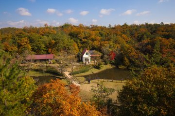 The view of the house from the high viewing platform
