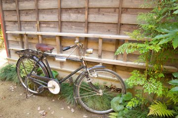 They even had the father's bicycle