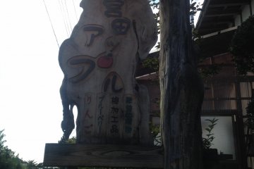 Miyata apple farm 