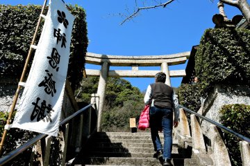 Lots of steps up to the shrine