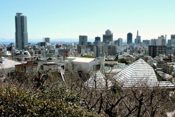 View over Kobe