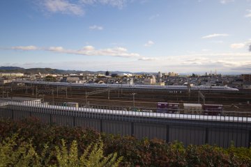 Spot the shinkansen as it goes by!